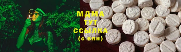 PSILOCYBIN Алзамай