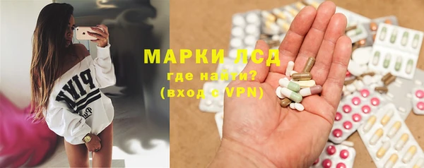 PSILOCYBIN Алзамай