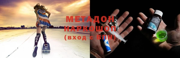 PSILOCYBIN Алзамай