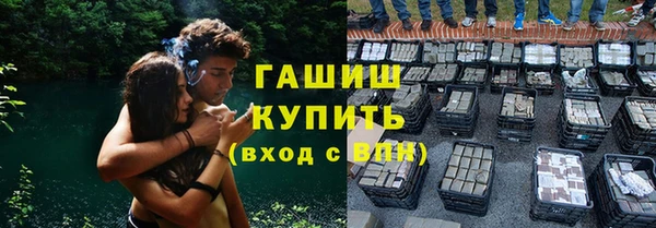 PSILOCYBIN Алзамай